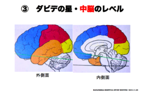 ダビデの星・中脳の見方　脳画像の見方