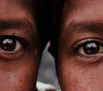 Vol.163　視覚優位の世界にようこそ