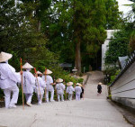 Vol.202　パーキンソン病の再考③　四大徴候