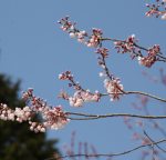 Vol.150　５年ぶりの再会と約束