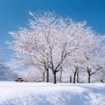 Vol.114　リハビリテーション分野における回復期リハ病棟における入院前後の活動量は？