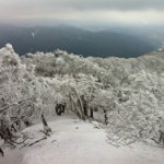 Vol.139　高見山の樹氷