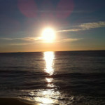 Vol.184 なぜ認知症になるのか