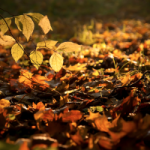 Vol.182　2030年超高齢未来