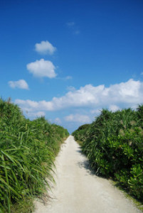 Vol.176　沖縄県の久高島