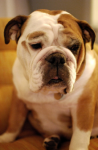 Vol.120　モダンタイムス